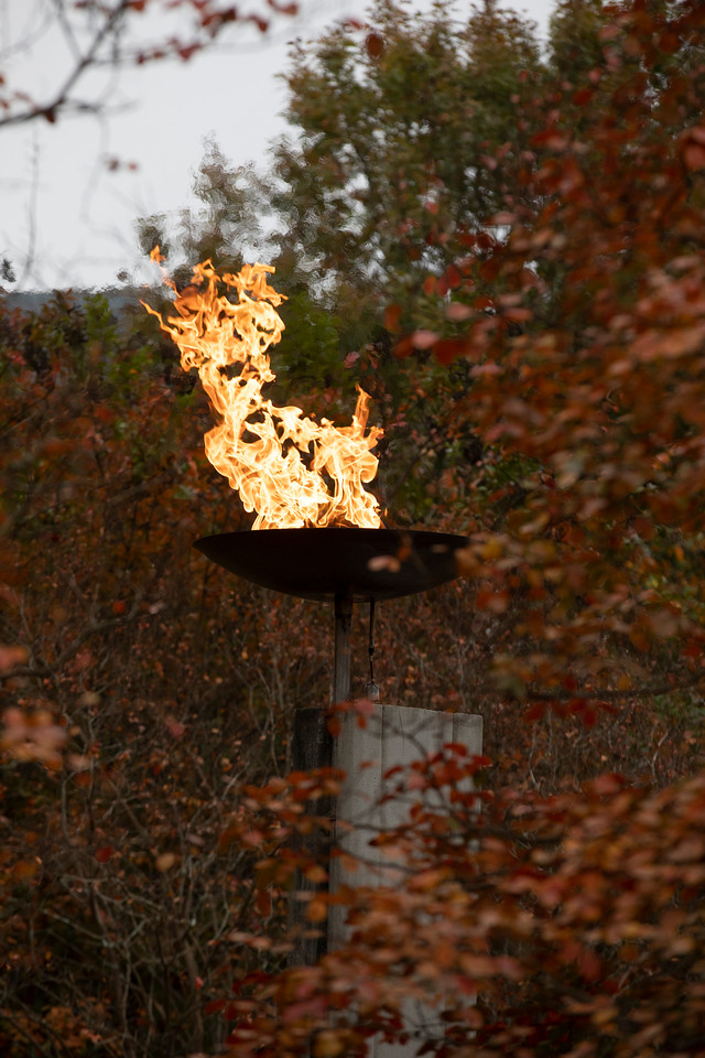 victory-flame3.jpg