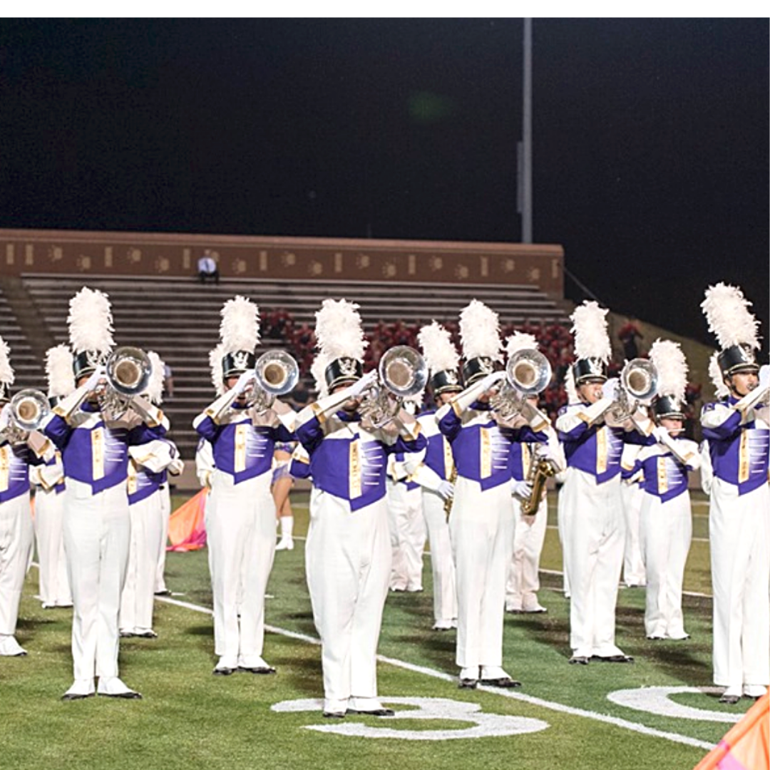 Marching Pride