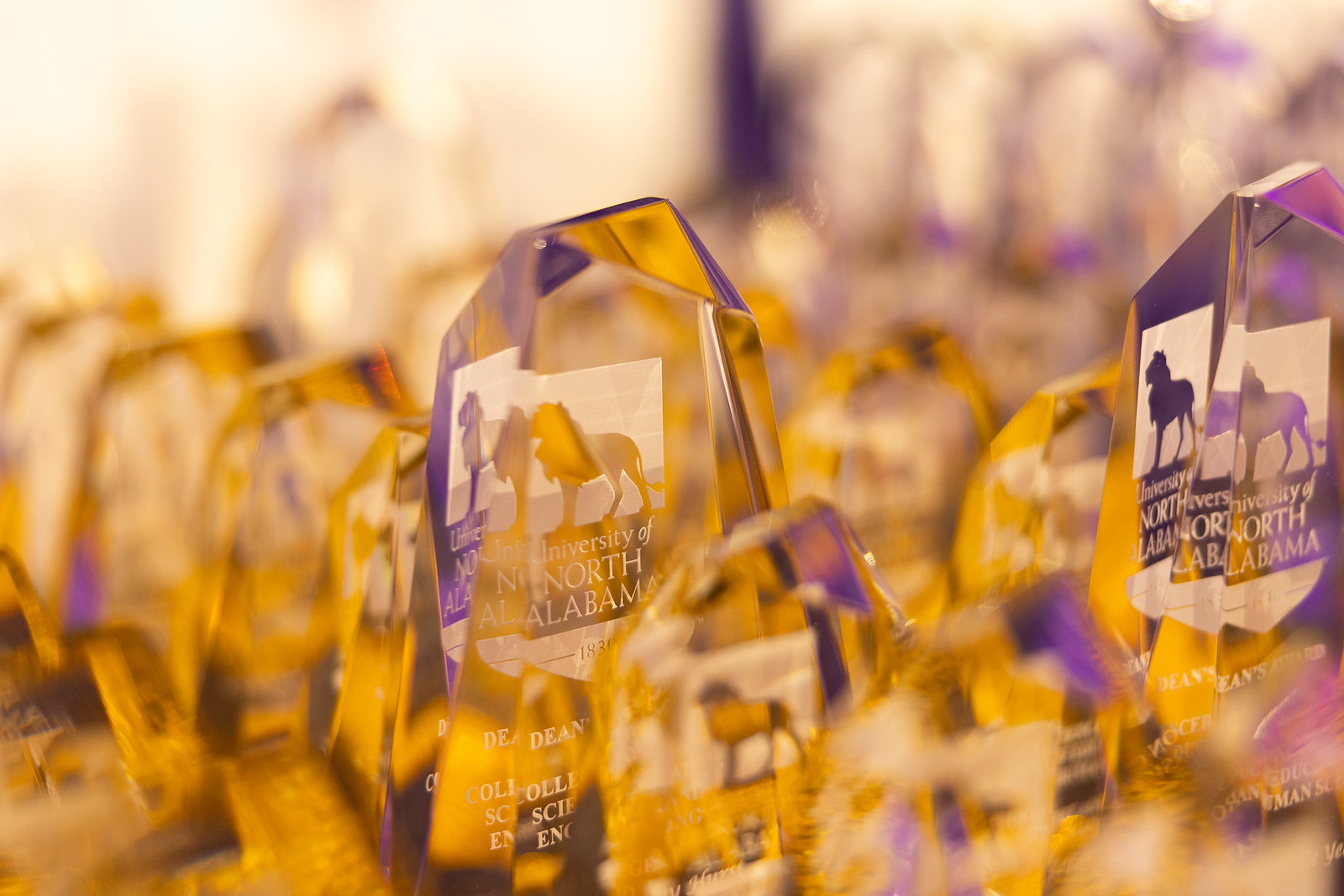 Awards & Recognition